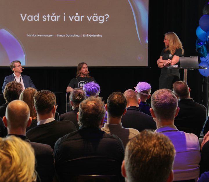 Karolina Levinson föreläser